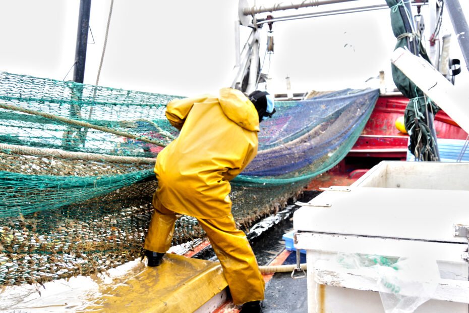 Un día en un barco de pesca arrastrero de Valencia. Un día en un barco de pesca arrastrero de Valencia.